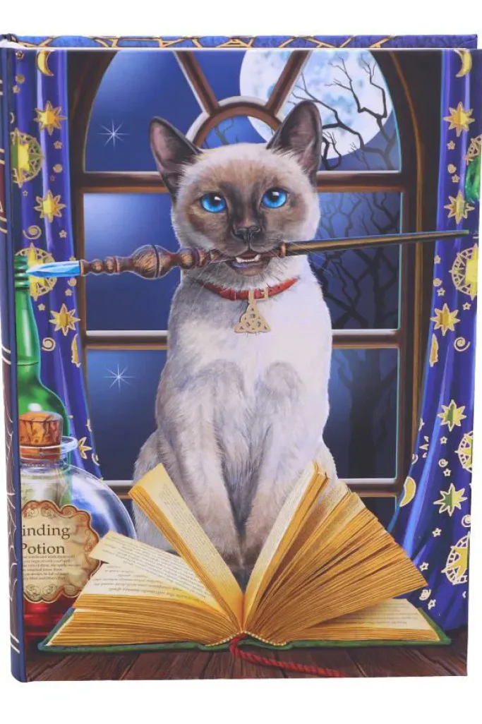 Nemesis Now Lisa Parker Hocus Pocus Journal