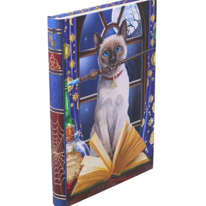 Nemesis Now Lisa Parker Hocus Pocus Journal