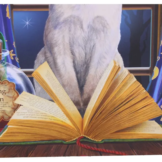 Nemesis Now Lisa Parker Hocus Pocus Journal