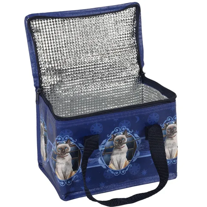 Something Different Lisa Parker Hocus Pocus Lunch Bag