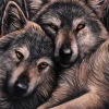 Something Different Lisa Parker Loyal Companions Picture