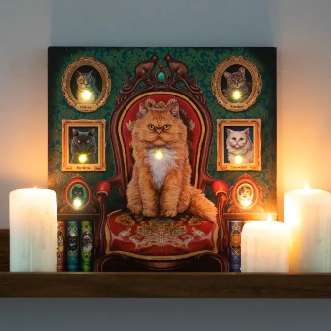 Something Different Lisa Parker Mad About Cats Light Up Canvas