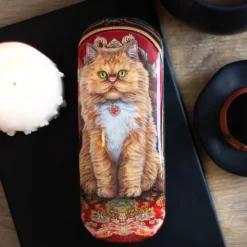 Something Different Lisa Parker Mad About Cats Glasses Case