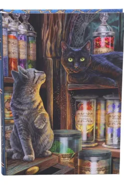 Nemesis Now Lisa Parker Magical Emporium Journal