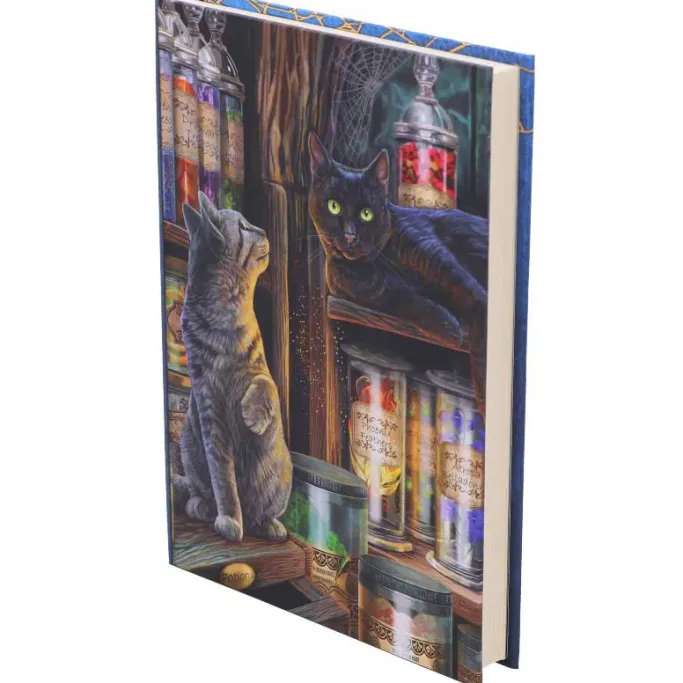 Nemesis Now Lisa Parker Magical Emporium Journal