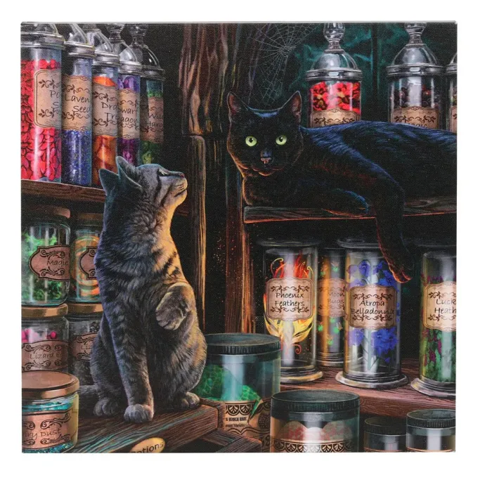 Something Different Lisa Parker Magical Emporium Light Up Picture