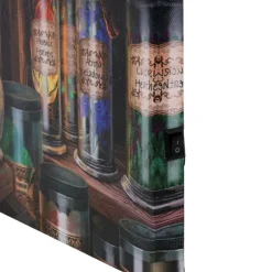 Something Different Lisa Parker Magical Emporium Light Up Picture