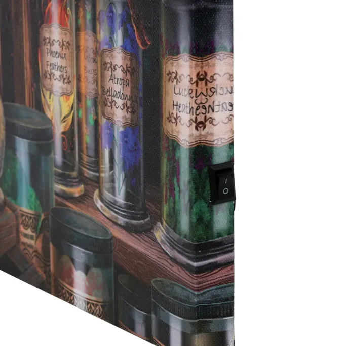 Something Different Lisa Parker Magical Emporium Light Up Picture