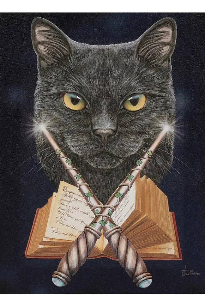 Something Different Lisa Parker Magick Maker Picture
