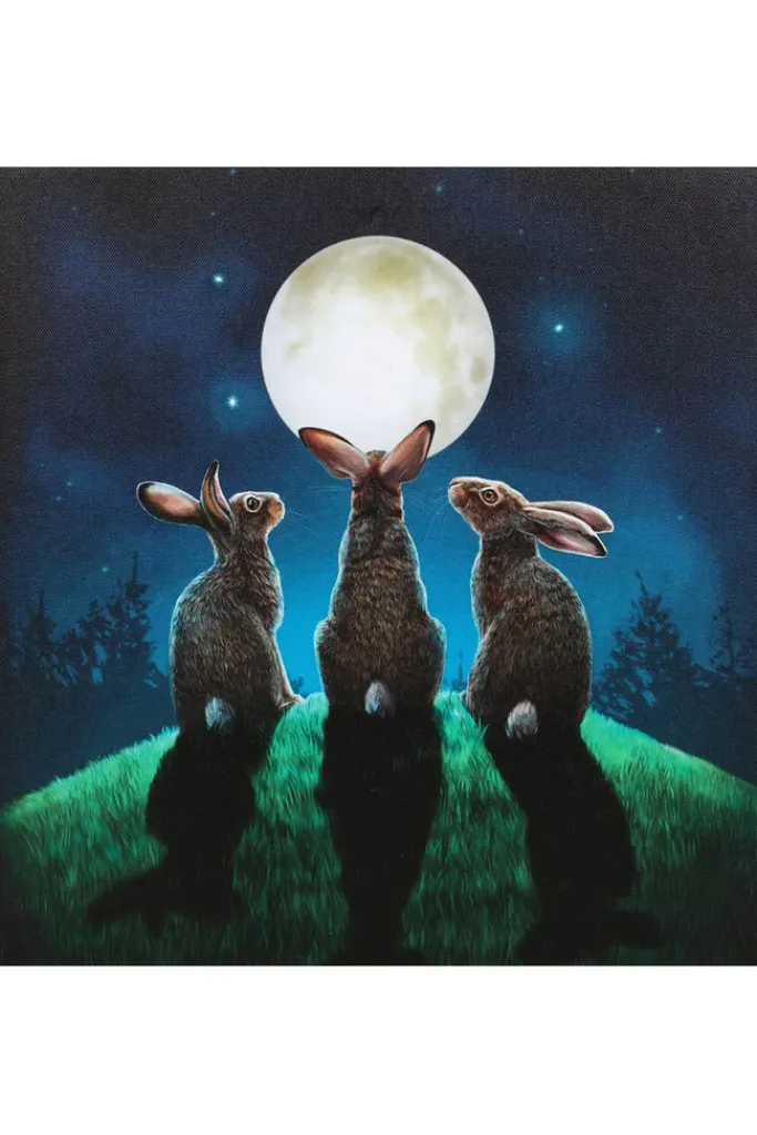 Something Different Lisa Parker Moon Shadows Light Up Picture