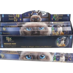 Nemesis Now Lisa Parker Success Incense Sticks Jasmine