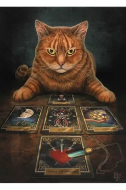 Something Different Lisa Parker The Reader Picture