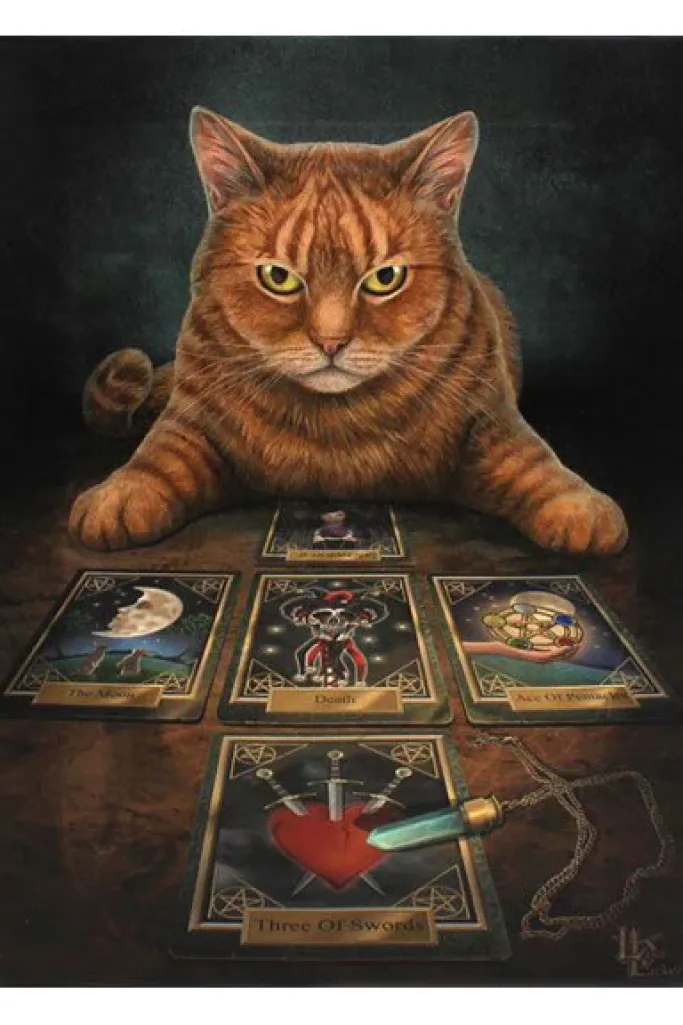 Something Different Lisa Parker The Reader Picture