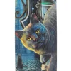 Something Different Lisa Parker The Rusty Cauldron Glasses Case