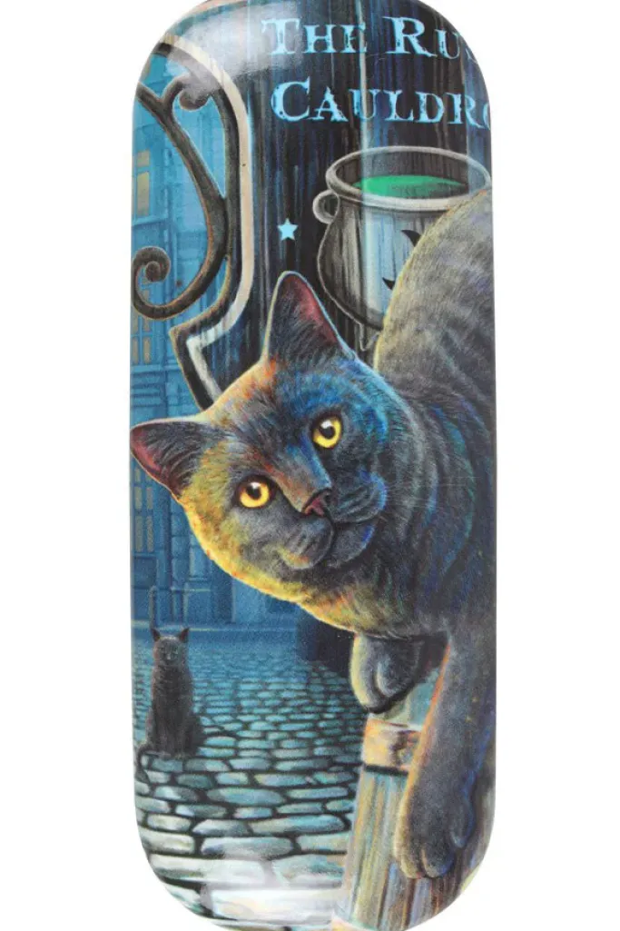 Something Different Lisa Parker The Rusty Cauldron Glasses Case