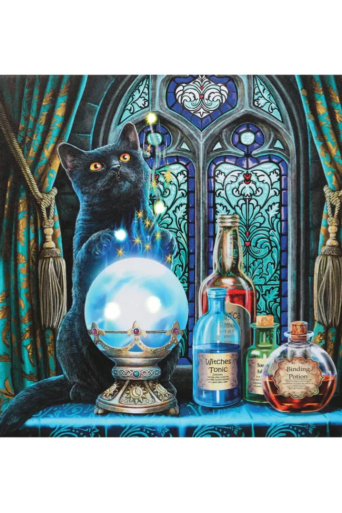Something Different Lisa Parker The Witches Apprentice Light Up Picture