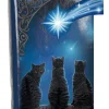 Nemesis Now Lisa Parker Wish Upon a Star Embossed Purse