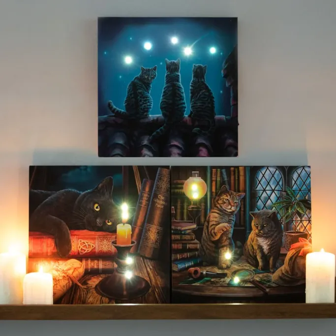 Something Different Lisa Parker Wish Upon A Star Light Up Picture