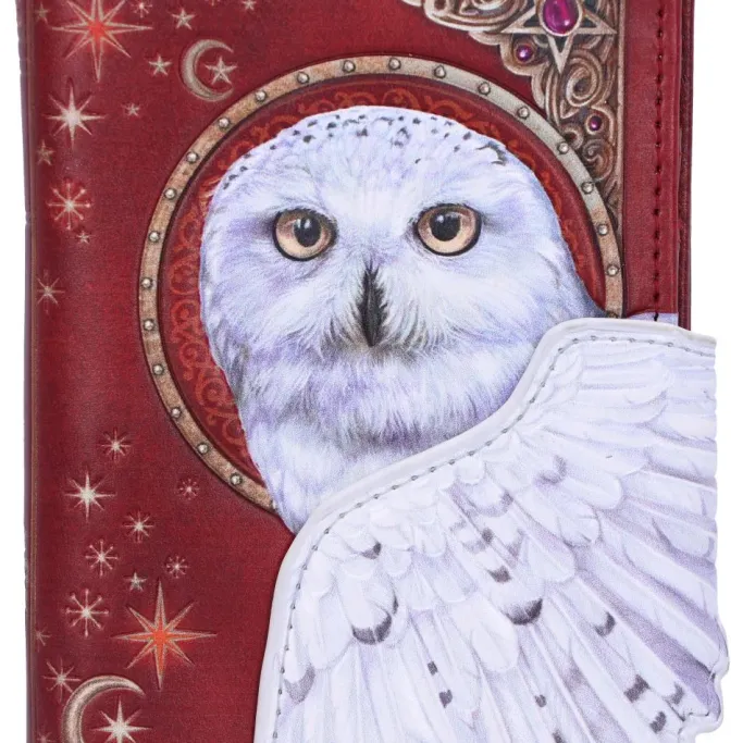 Nemesis Now Magical Flight Embossed Purse