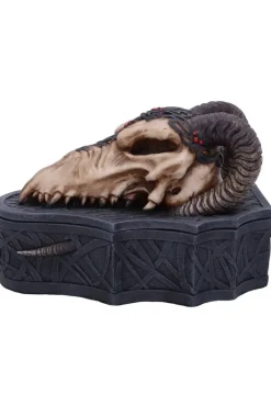 Nemesis Now Monte Moore Dragon Skull Box