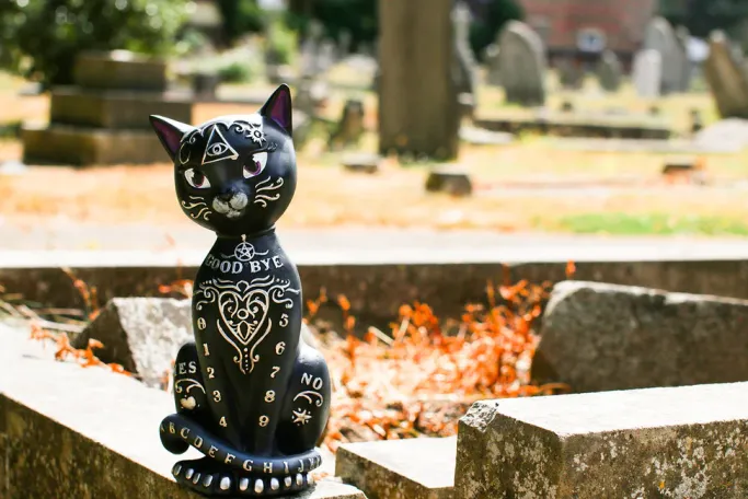 Nemesis Now Mystic Kitty 26cm