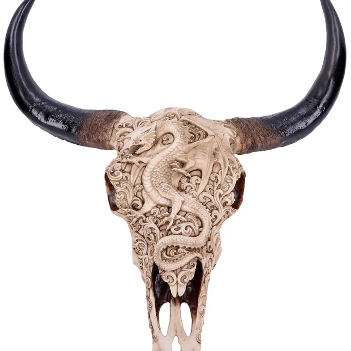 Nemesis Now Mythical Markings Skull 44cm