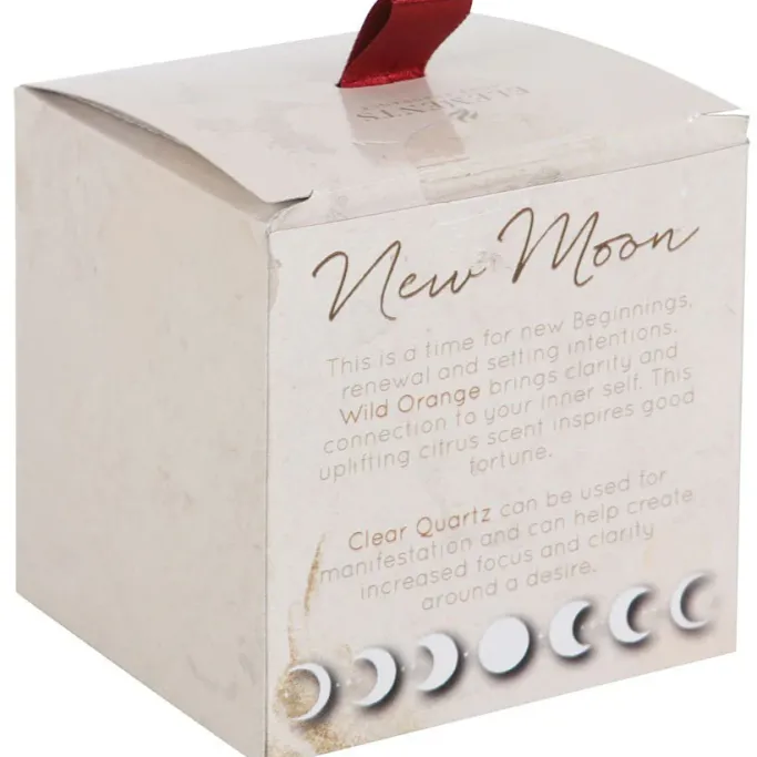 Something Different New Moon Wild Orange Manifestation Crystal Chip Candle