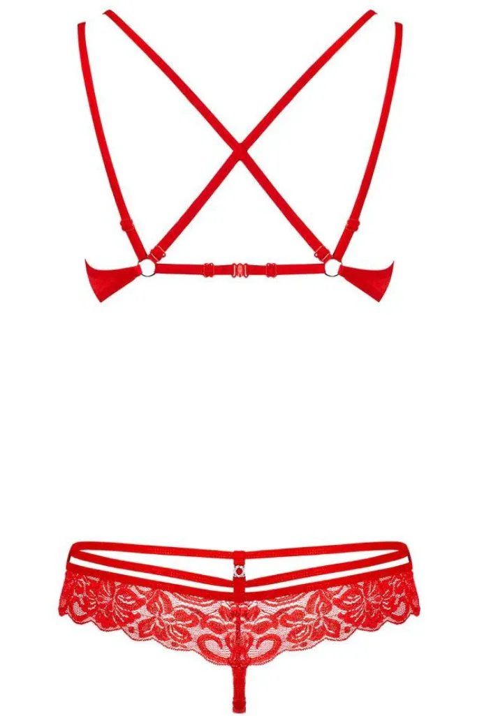 Obsessive Red Bra and Thong Set