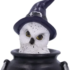 Nemesis Now Owl's Brew