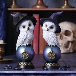 Nemesis Now Owl's Charm Figurine