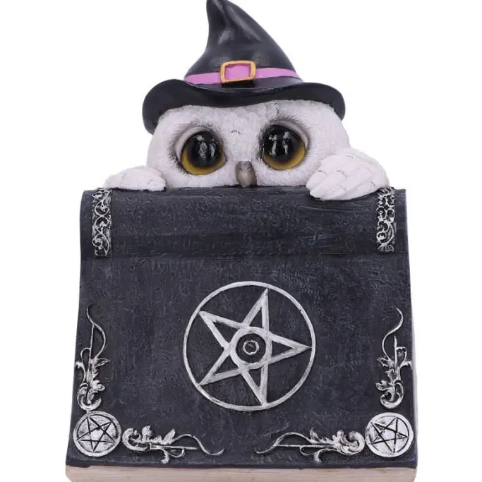Nemesis Now Owl's Spell Figurine
