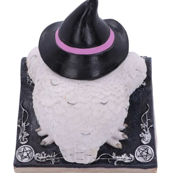 Nemesis Now Owl's Spell Figurine