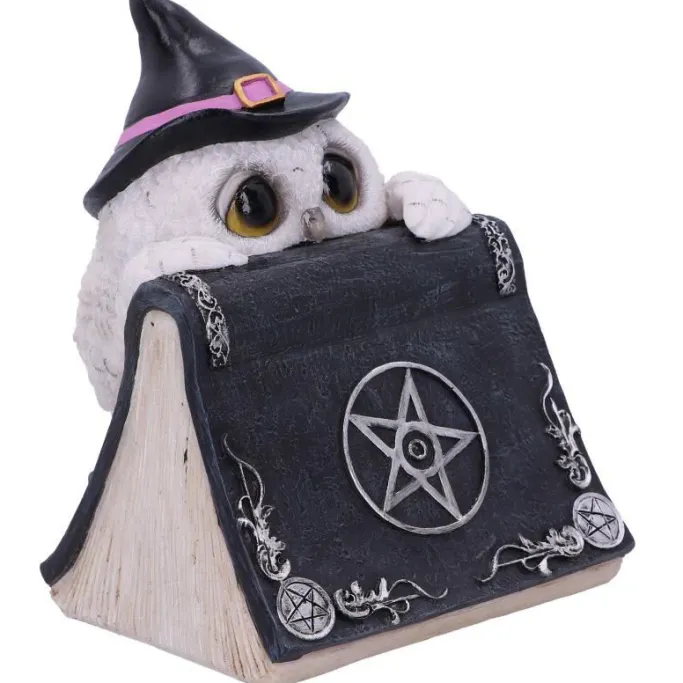 Nemesis Now Owl's Spell Figurine