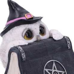 Nemesis Now Owl's Spell Figurine