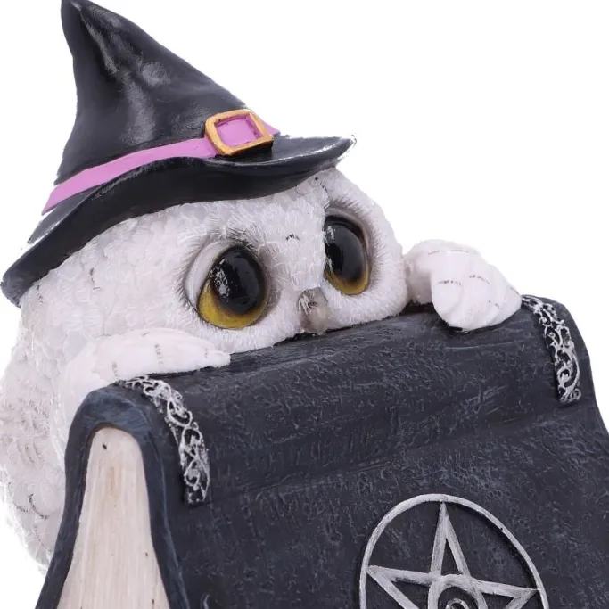 Nemesis Now Owl's Spell Figurine
