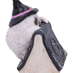 Nemesis Now Owl's Spell Figurine
