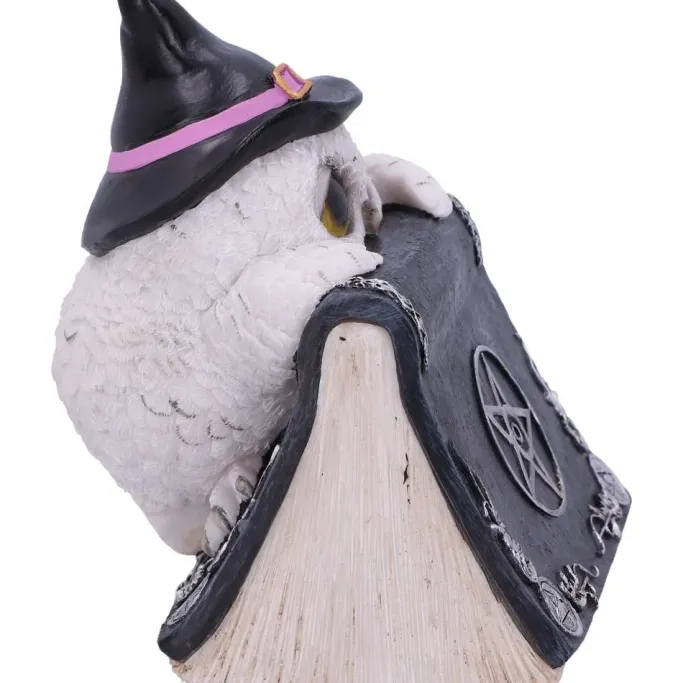 Nemesis Now Owl's Spell Figurine