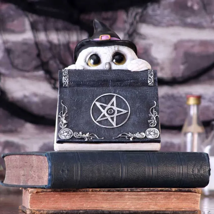 Nemesis Now Owl's Spell Figurine