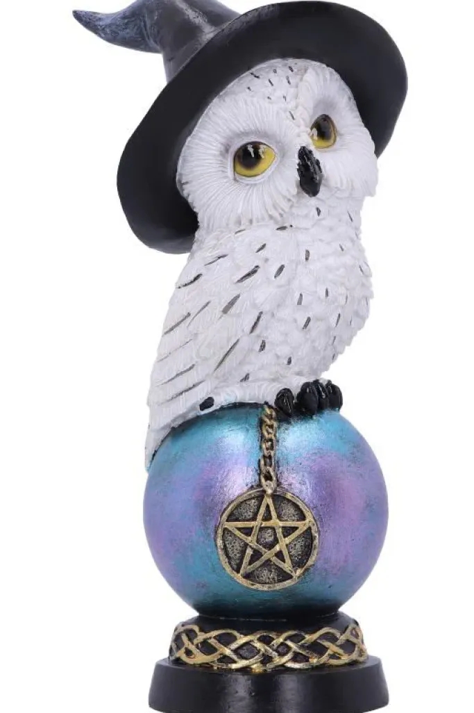 Nemesis Now Owl's Talisman