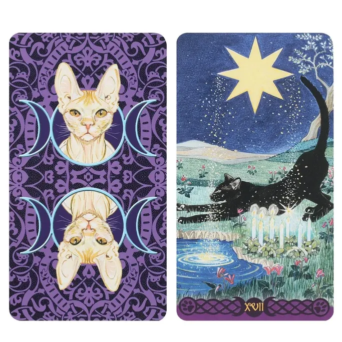 Something Different Pagan Cats Tarot Cards