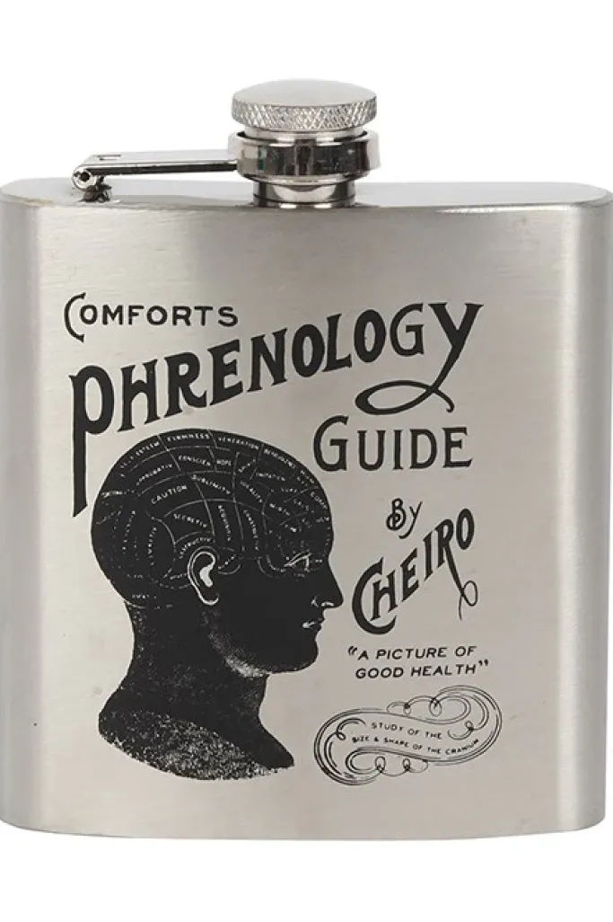 Something Different Phrenology Hip Flask
