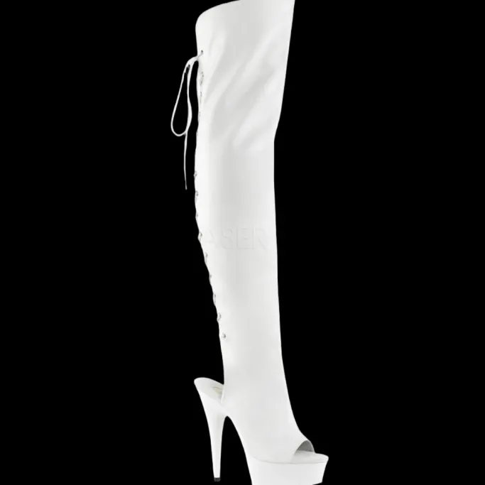 Pleaser DELIGHT-3019 Boots