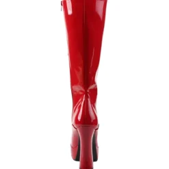 Pleaser ELECTRA-2020 Boots