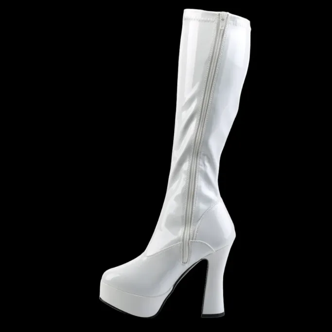 Pleaser ELECTRA-2000Z Boots