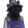 Nemesis Now Pocus Cat Figurine