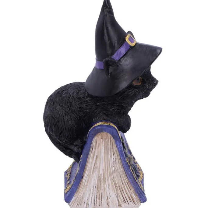 Nemesis Now Pocus Cat Figurine