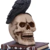 Nemesis Now Raven's Spell Figurine