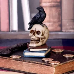 Nemesis Now Raven's Spell Figurine