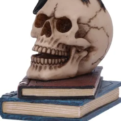 Nemesis Now Raven's Spell Figurine