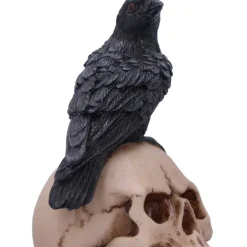 Nemesis Now Raven's Spell Figurine